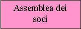 L'assemblea dei soci ordinaria approva il bilancio, delibera sugli utili, nomina gli amministratori e i sindaci, ne determina i compensi. L'assemblea straordinaria modifica l'atto costitutivo, emette obbligazioni, liquida la societ�.