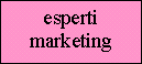 consigliano la combinazione giusta di processi produttivi e di distribuzione del prodotto;