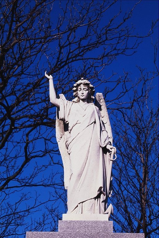 Statua