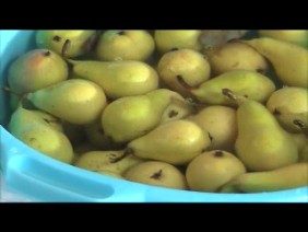 Click col sinistro per avviare il video